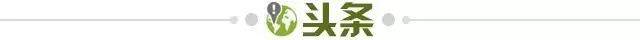 1739663197437042455.jpg 头条.jpg